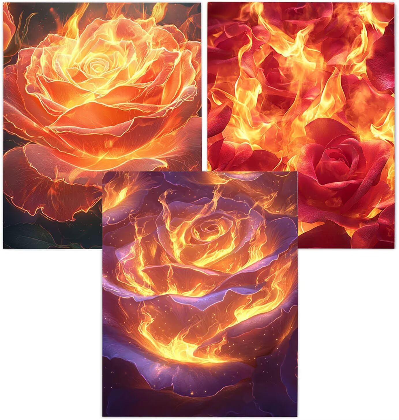 Cnyaunfi 3 Pezzi Rosa Pittura Diamante Fai-Da-Te, 5D Nero Diamond Painting Kit Completo per, Hobby Creativi Adulti, Pittura Diamante Artigianale Per La Decorazione Della Parete Di Casa 60x80cm YF-3453