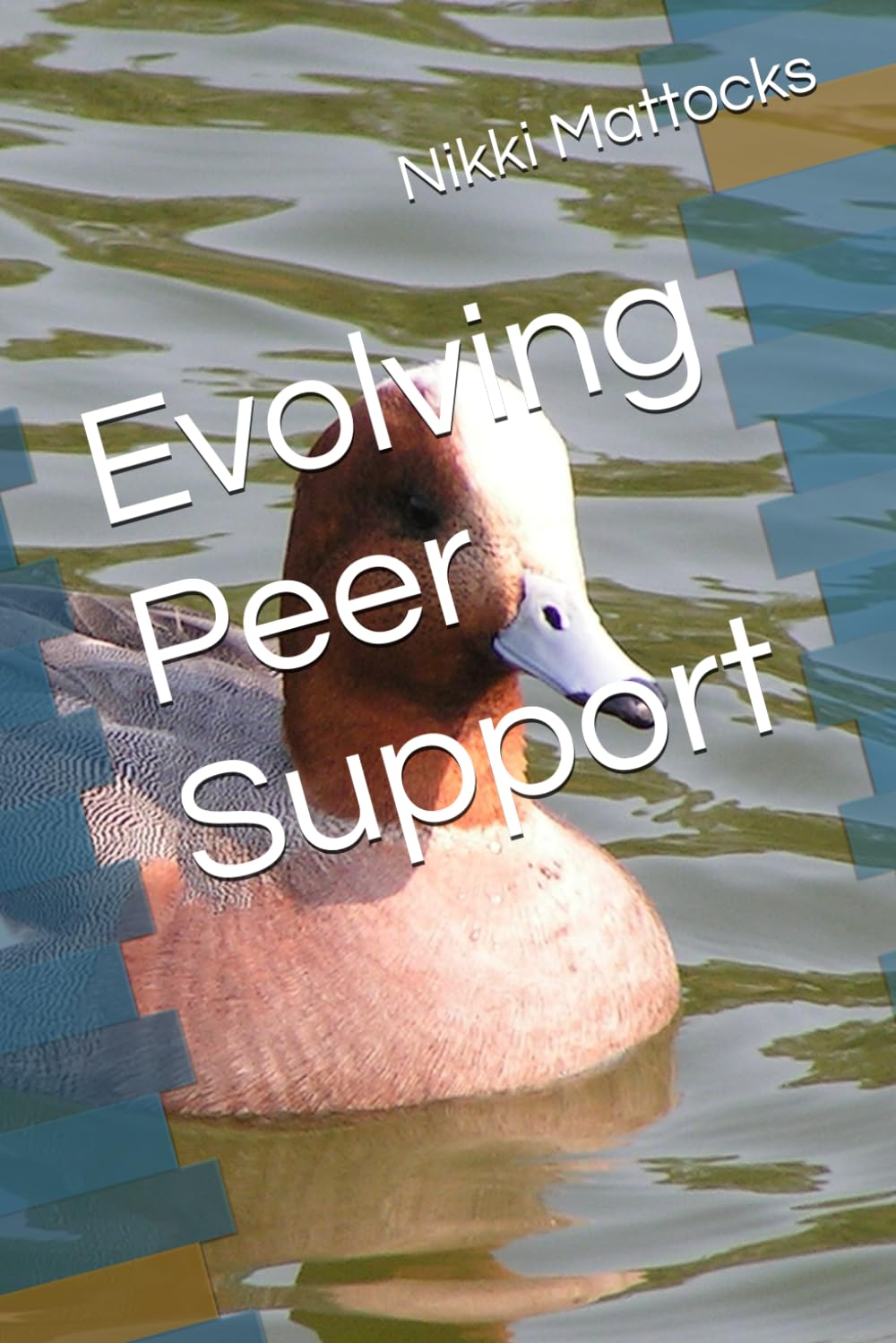 Evolving Peer Support