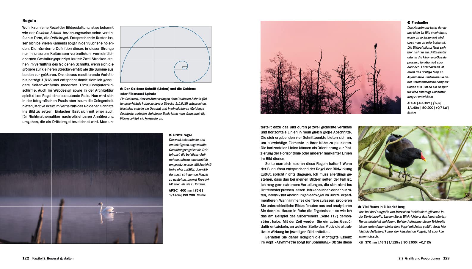 Vogelfotografie: Die große Fotoschule. Ihr praktischer Einstieg: Ausrüstung, Aufnahmetechnik, Bildgestaltung. Mit artenspezifischen Informationen