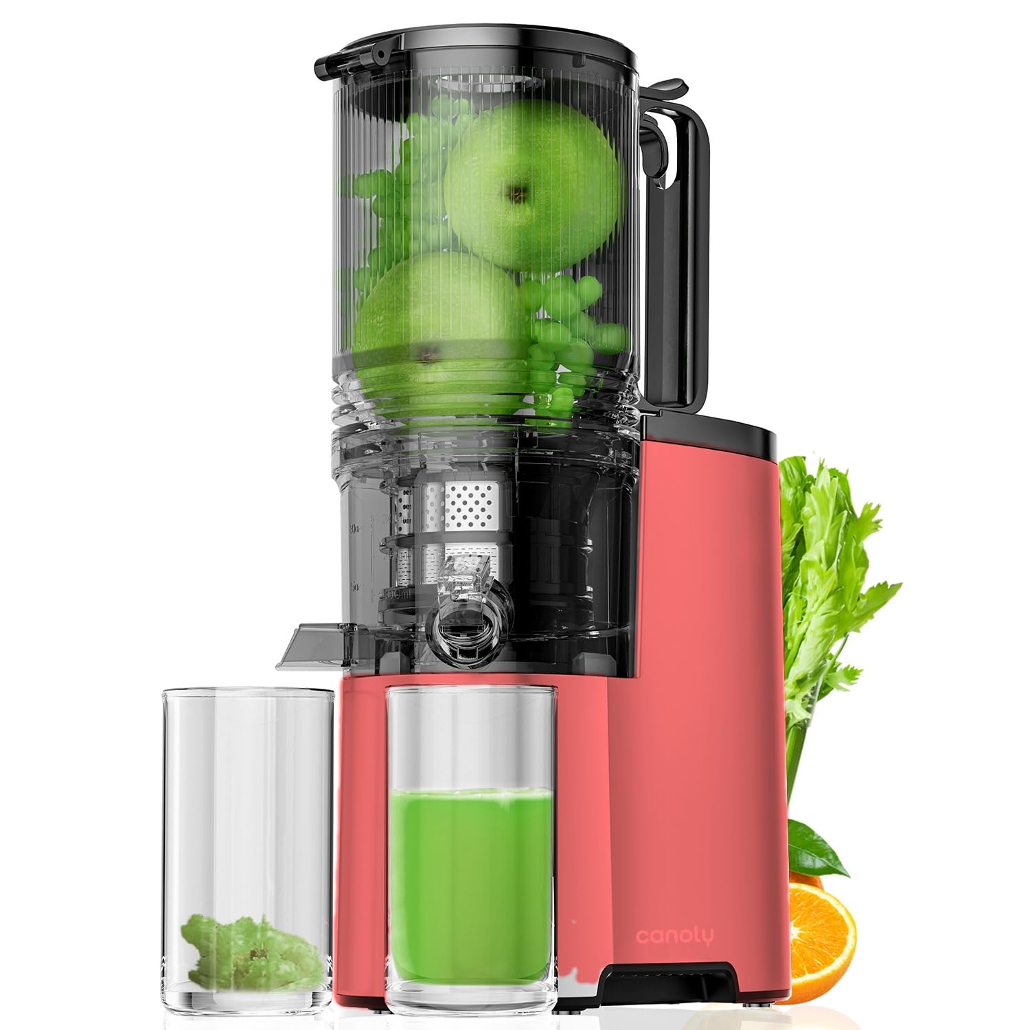 Amazon.com: Canoly Cold Press Juicer, 5.4
