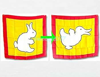 71fRTPV-TCL._AC_UF350,