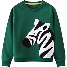 Popshion Toddler Boys Sweatshirt Cotton Lightweight Kids Winter Warm Sweater Crewneck Pullover Tops