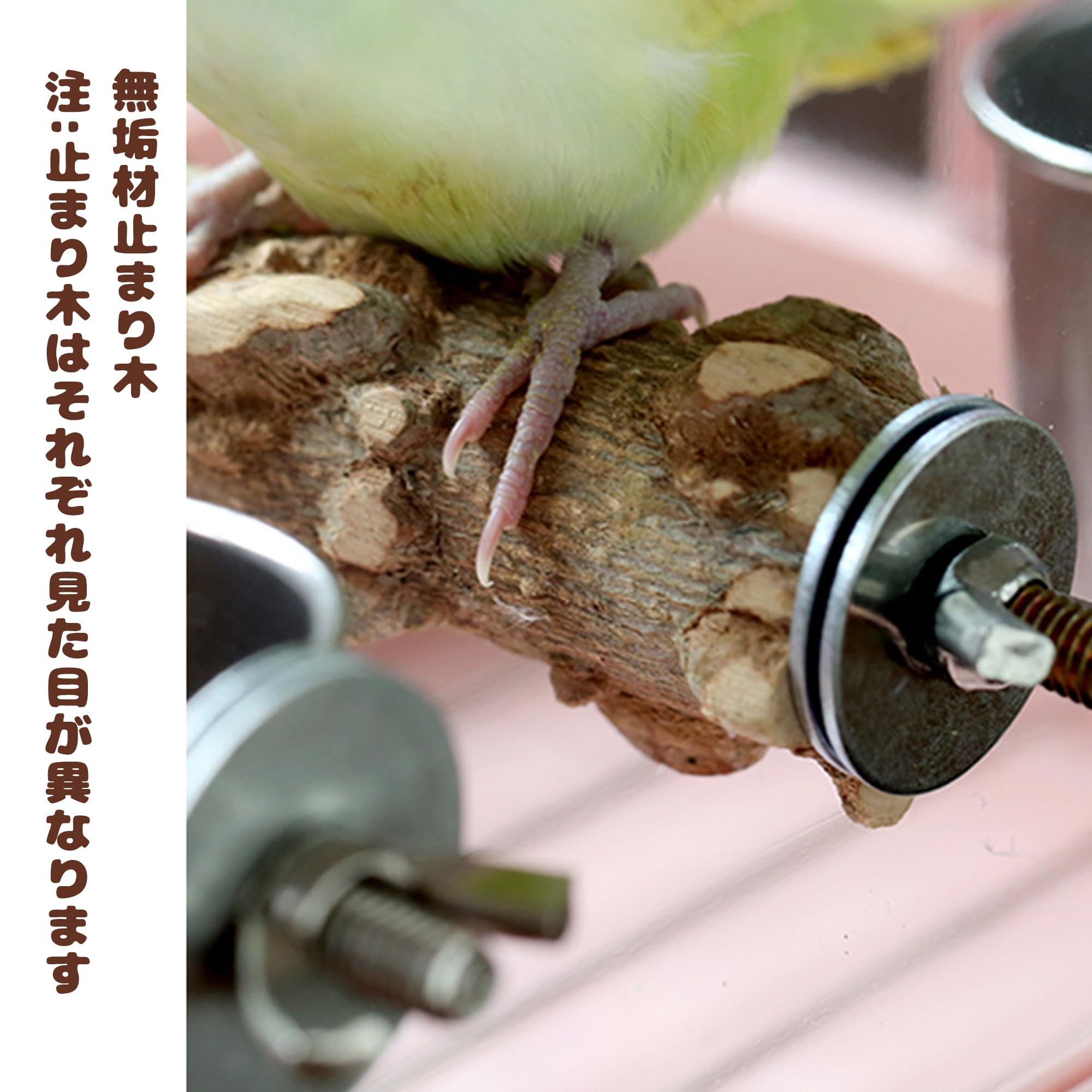 Amazon | 26*18*24CM鳥籠・インコ キャリー両用 フリップトップ