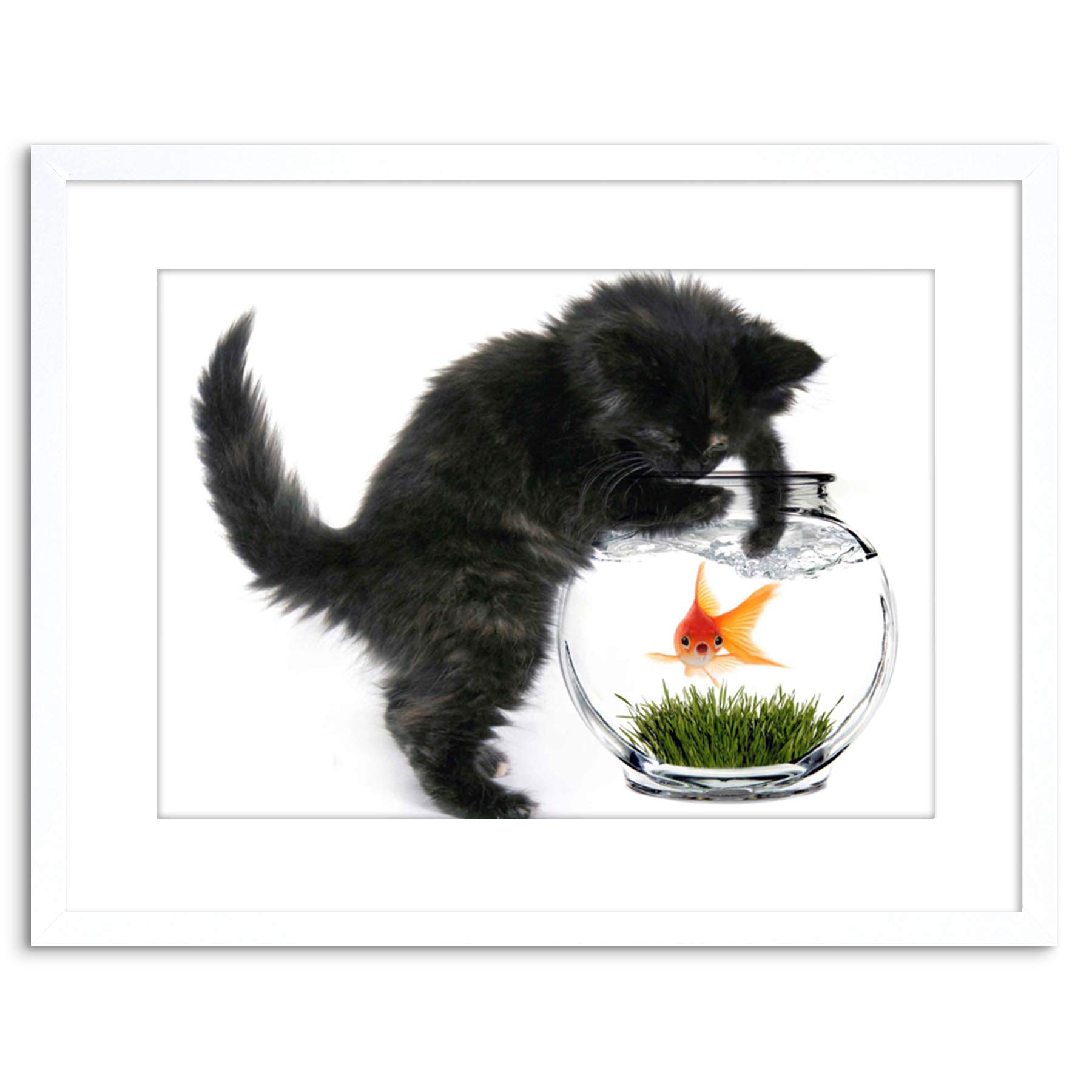 Wee Blue Coo PHOTO BLACK KITTEN CAT PLAYING GOLDFISH BOWL HOME FRAMED PRINT F97X2820