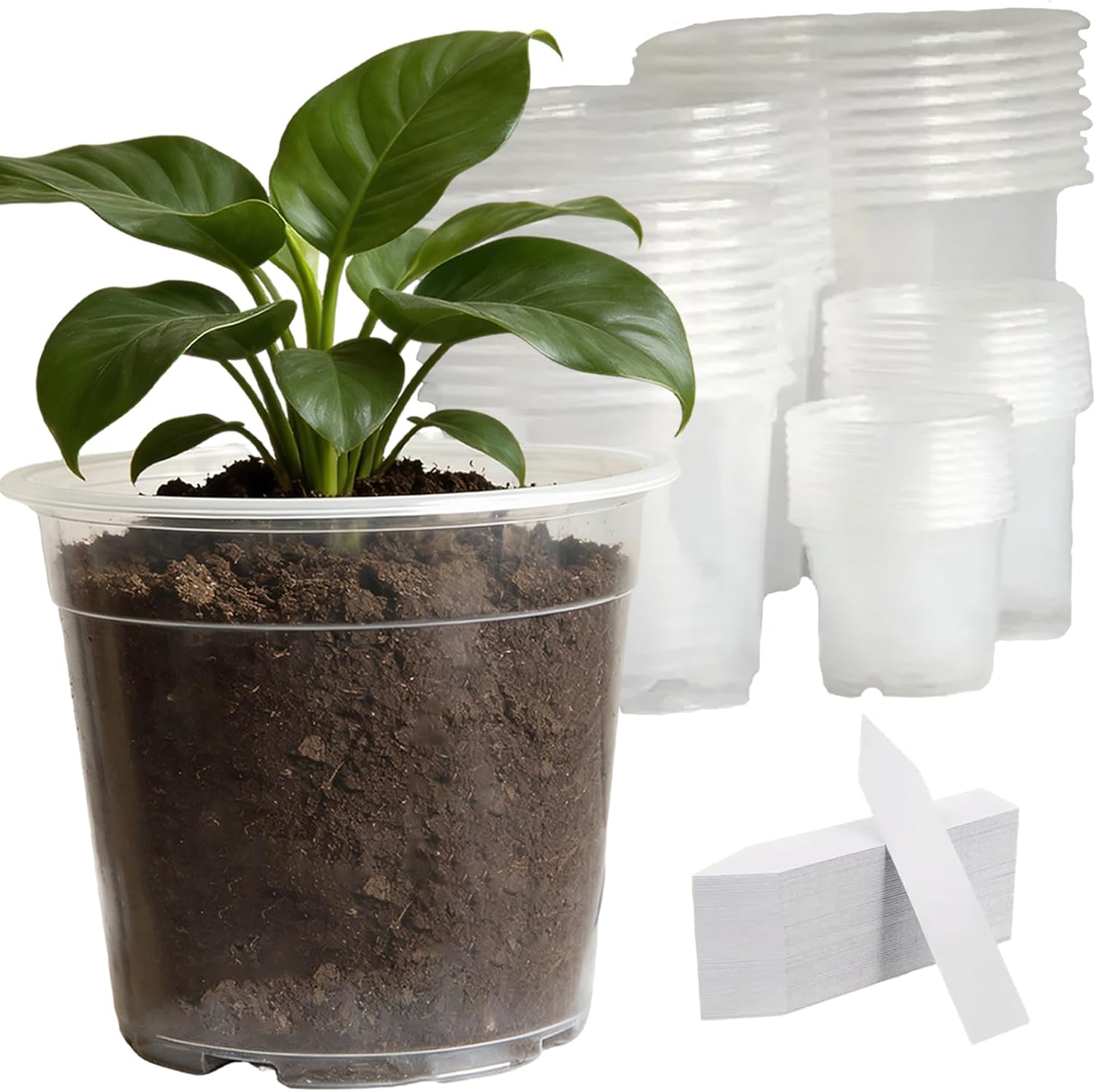 50 Pack 3/4/5/6/7 Inch Nursery Pots, Clear Plant Pots with Drainage, Clear Plastic Plant Pots, Plant Pots for Seedling Starter Pot for Indoor Outdoor