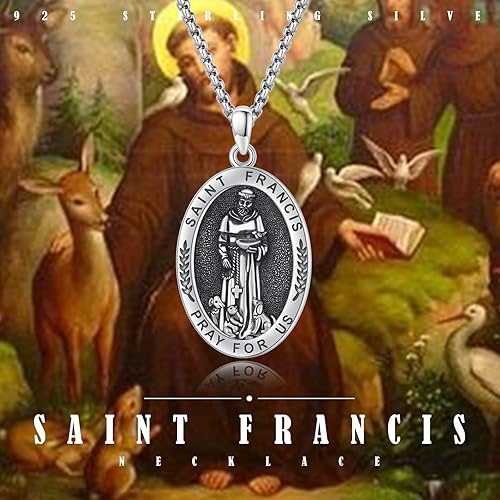 Vista 602 de Collar con colgante de plata de ley 925 con medalla de San Patrón, joyería religiosa para hombres y mujeres, con cadena de acero inoxidable 316L