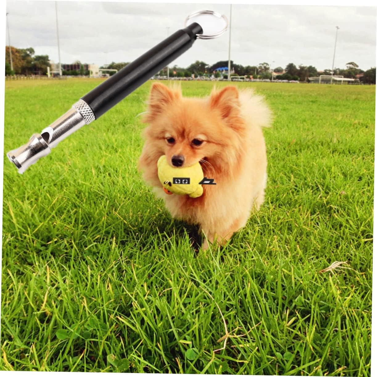 Beavorty 3pcs Barking Control Whistle Strap Frequency Dog Training Tool Non-Corrosive Plated for Positive Reinforcement and Obedience Training
