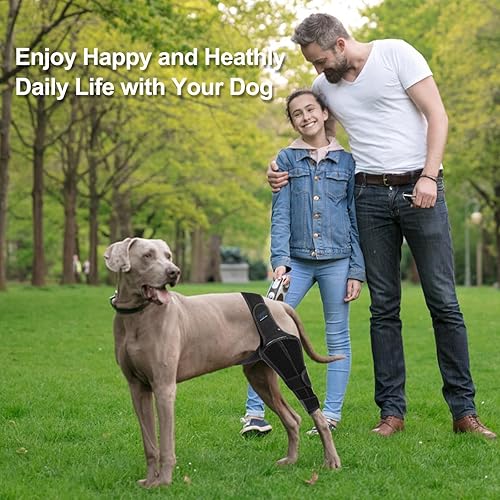 Miniatura 4 de FOXLVDA Rodillera para perro para lesiones del ligamento cruzado, dolor y dolor en las articulaciones, mejor recuperación ACL, soporte ajustable