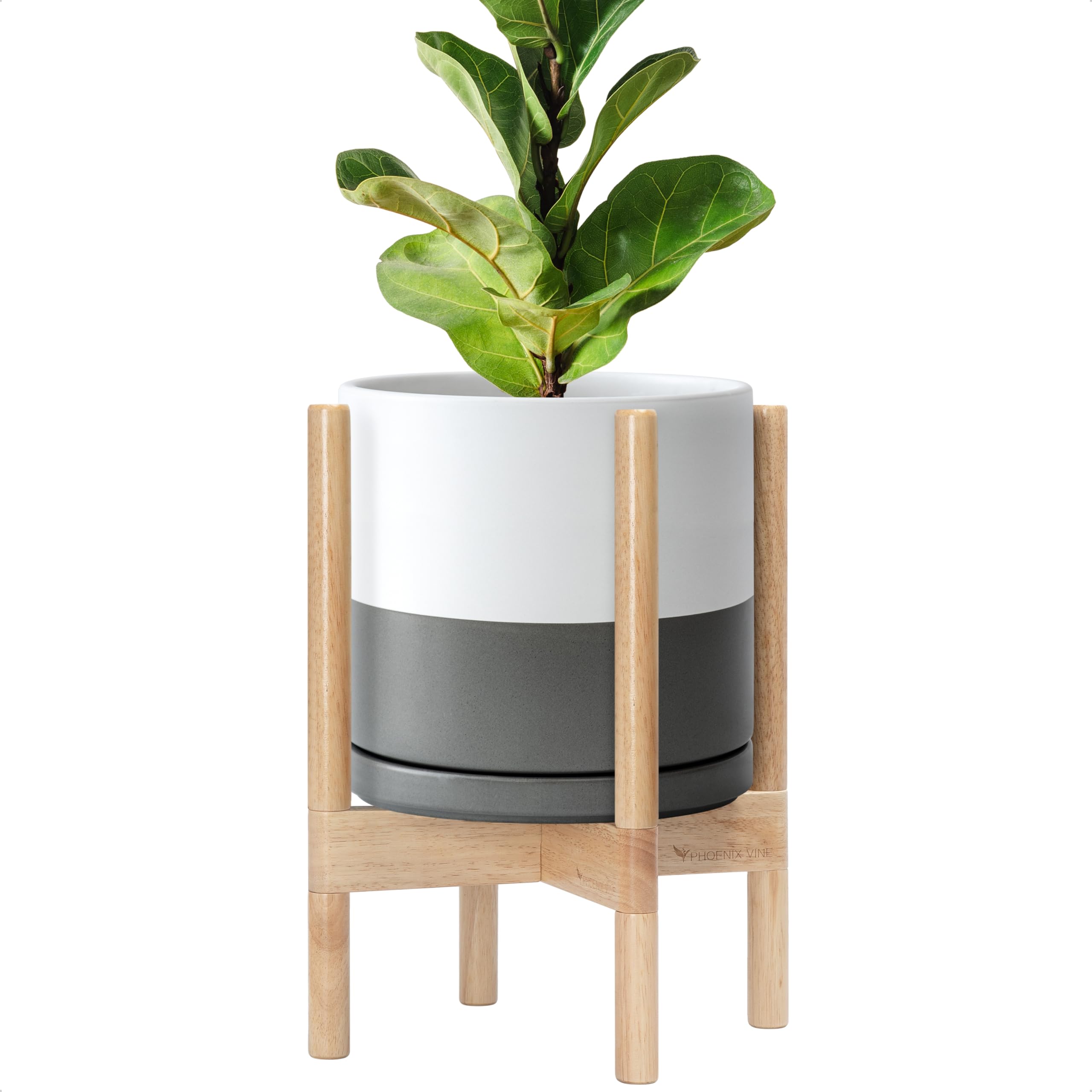 D'vine Dev Ceramic Planter with Natural Stand