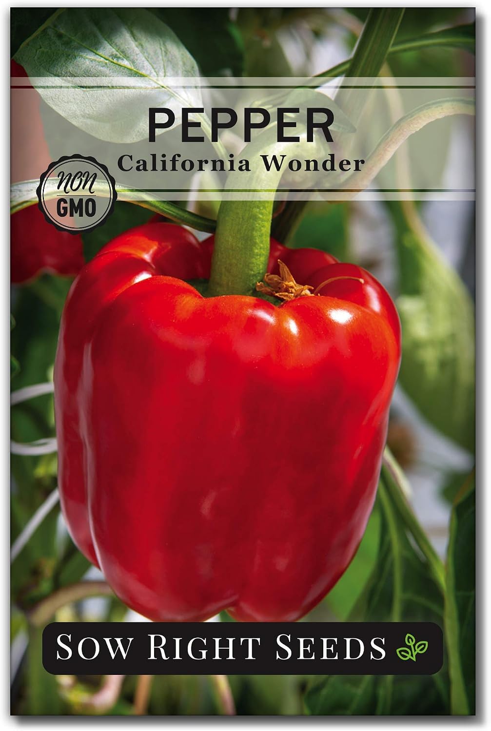 Sow Right Seeds - Heirloom Pepper Starter Kit - 5 Seed Packets, Pots, Potting Soil, Plant Markers - Start Habanero Bell Cayenne Serrano and Cubanelle Seeds Indoors - Non GMO Great Gift