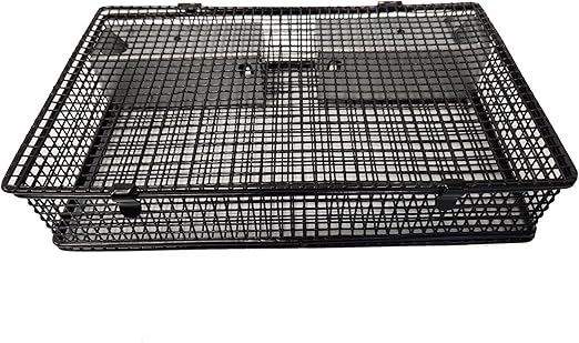 Rugged Ranch Products Mousinator Multi Catch Metal Wire Mouse Trap Cage with 2 Door Entry and Easy to Open Top Lid for Pest Control, Black