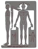Pickett Male Human Figure Template (1140I)