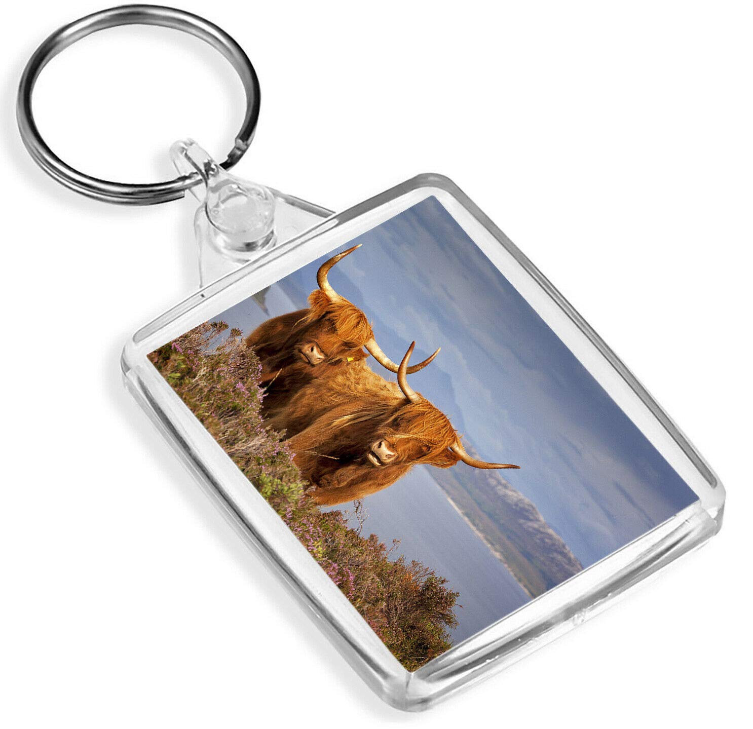 Destination Vinyl Keyrings Unisex Multi Scottish Highland Cows Keyring - Ip02 - Scotland Agricultural Cattle #16313