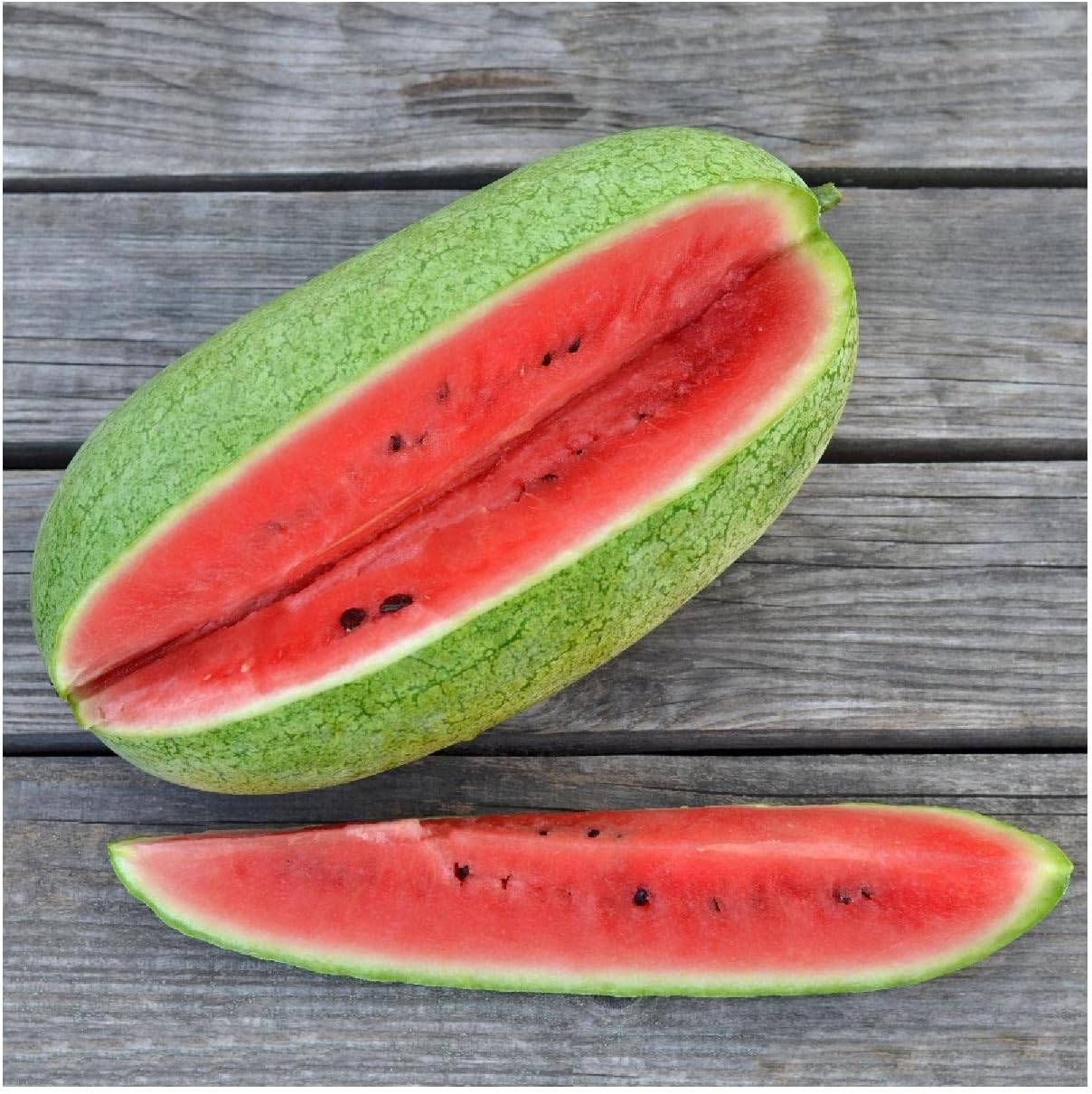 Everwilde Farms - 1 Lb Charleston Gray Watermelon Seeds - Gold Vault