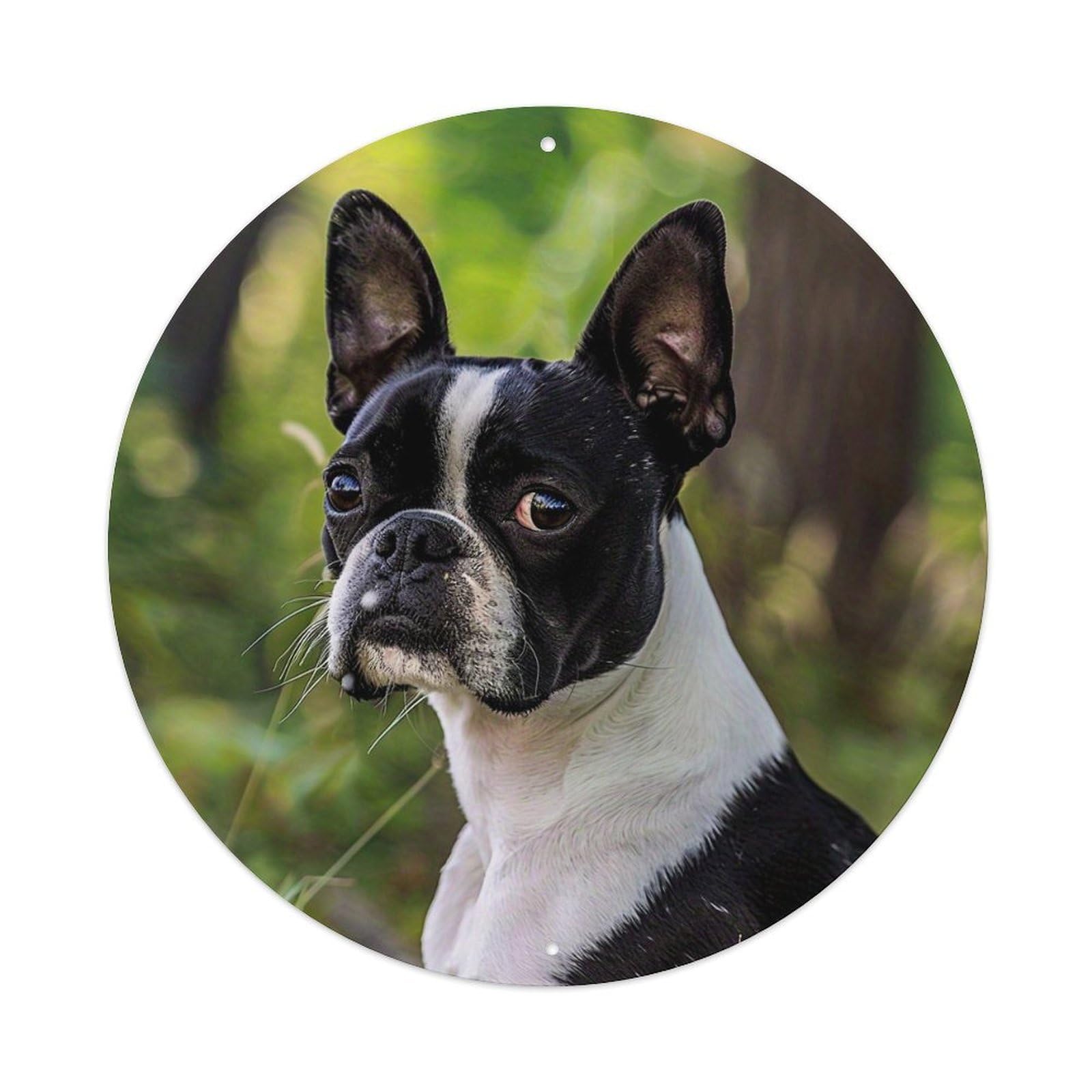Boston Terrier Dog Portrait Circle Round Tin Sign Vintage Metal Sign Home Bar Garden Indoor & Outdoor Wall Decor Retro Metal Poster 8x8 Inch