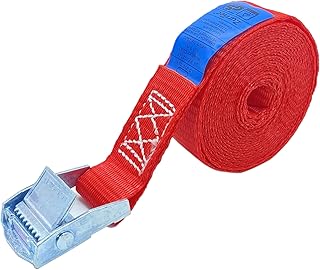 ZurrTec 10 x 250 kg daN 1m Profi Spanngurte mit Klemmschloss 25mm Spannriemen Befestigungsriemen DIN EN 12195-2 (Rot)