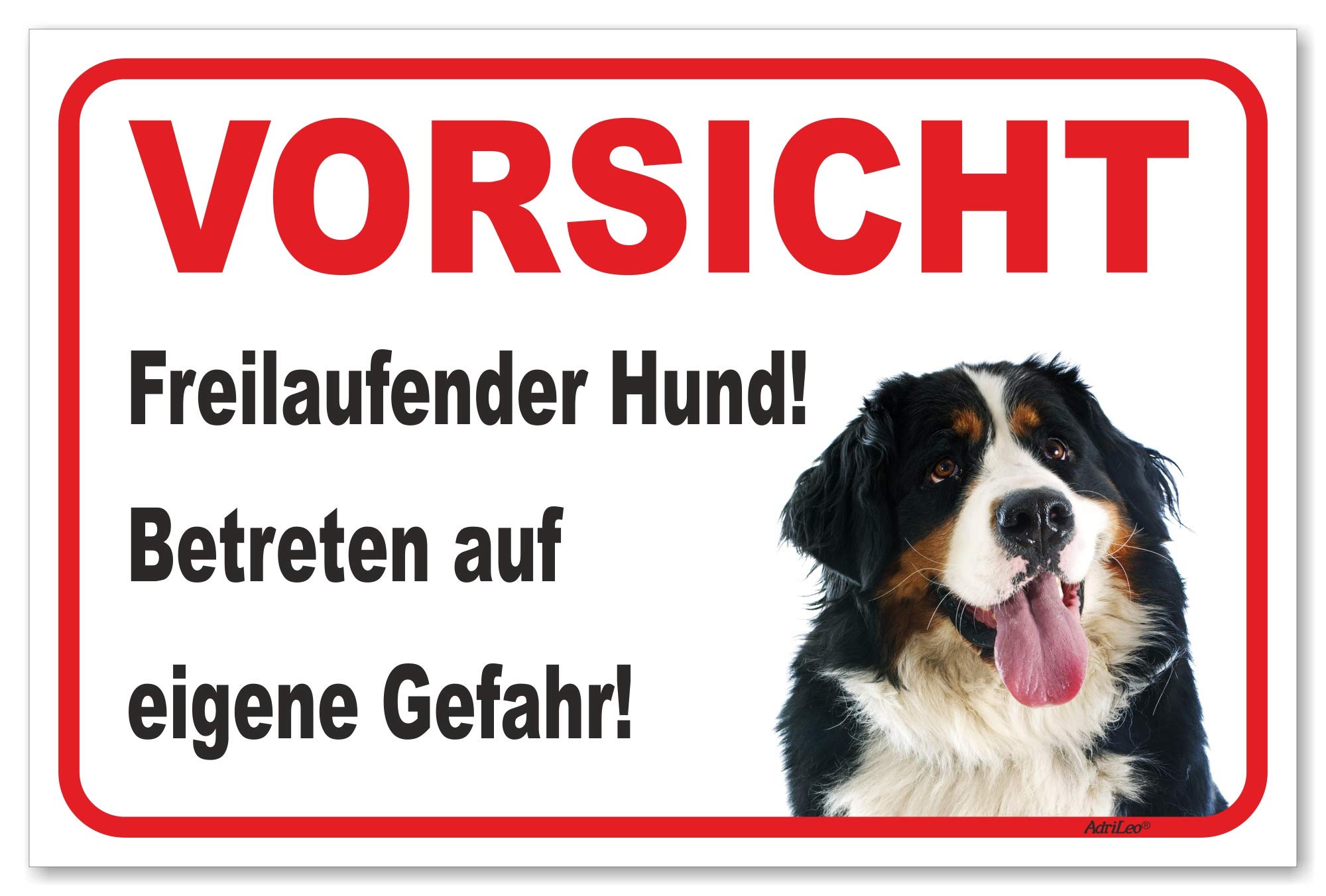 Warnschild 'Vorsicht Border Collie' – 30x40 Cm, Aluminium, Wetterfest