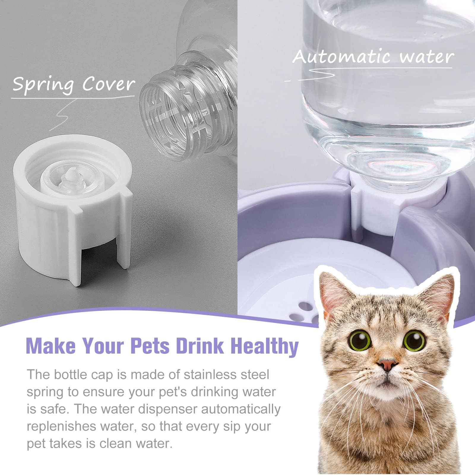 Cuencos for Perros y Gatos, Juego de comederos bebederos Acero Inoxidable for pequeños, Morado
