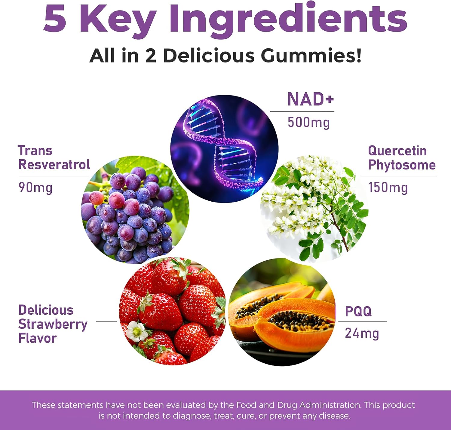 NAD+ Gummies with Nicotinamide Riboside, Quercetin Phytosome, Resveratrol, PQQ, High Fiber, Sugar Free, for Antioxidant & Cellular Energy Support, 120 Count - Image 6