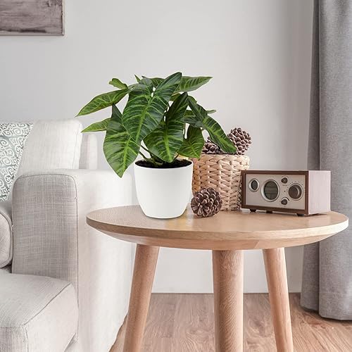 Miniatura 2 de Briful 2 plantas artificiales en maceta de Alocasia, Begonia Calathea, mini plantas falsas en maceta de plástico, pequeñas plantas de imitación de