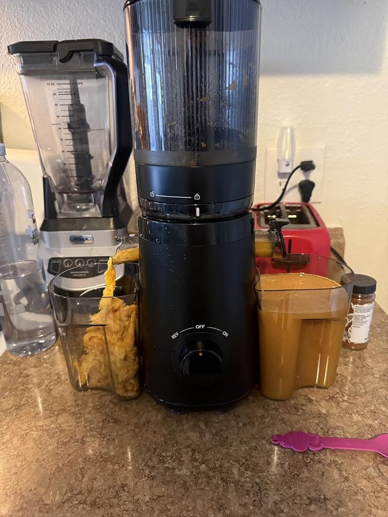Juicer Machines, TUUMIIST Cold Press Juicer with 5.3