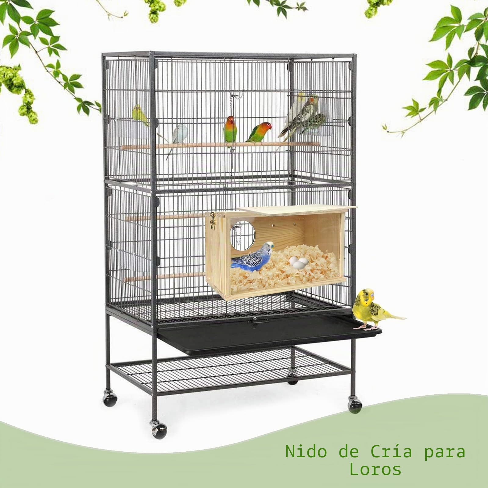 Caja de anidación para periquitos, Caja de cría de pájaros de Pino Natural, Caja de cría de pájaros, Caja de acrílico Transparente con Tablero de Madera Desmontable para tortolitos, cacatúa,