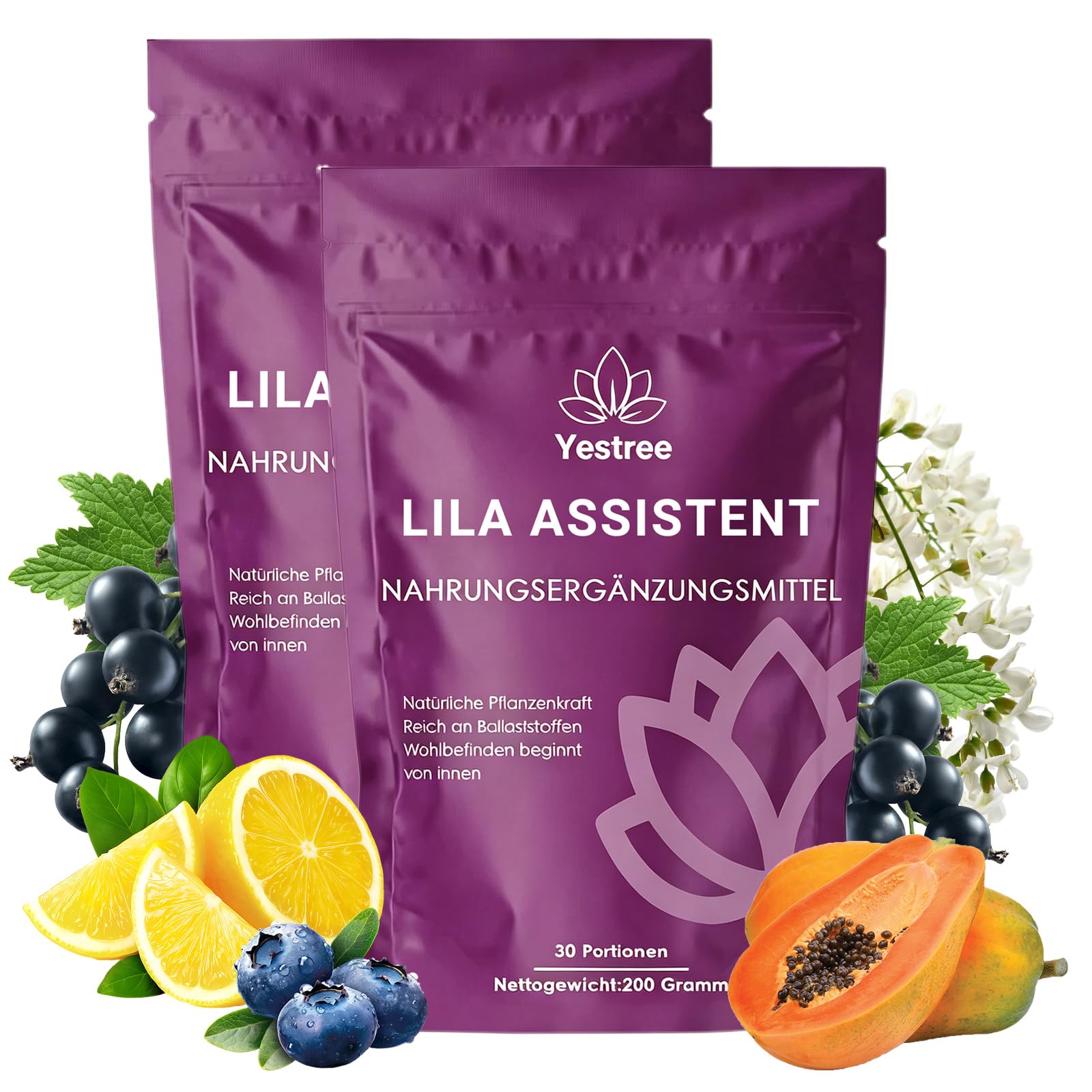 2 Pack Lila Superfood Pulver 200g – Lila Mix mit Aronia, Papaya, Heidelbeere, Inulin | Ballaststoffreich & Vegan | Natürliches Pflanzenpulver für Alltag & Ernährung