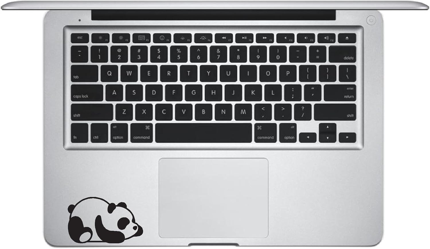 Laptop Sticker Max 60 Off Decal Panda Bear Bla Down Matte Keypad Laying