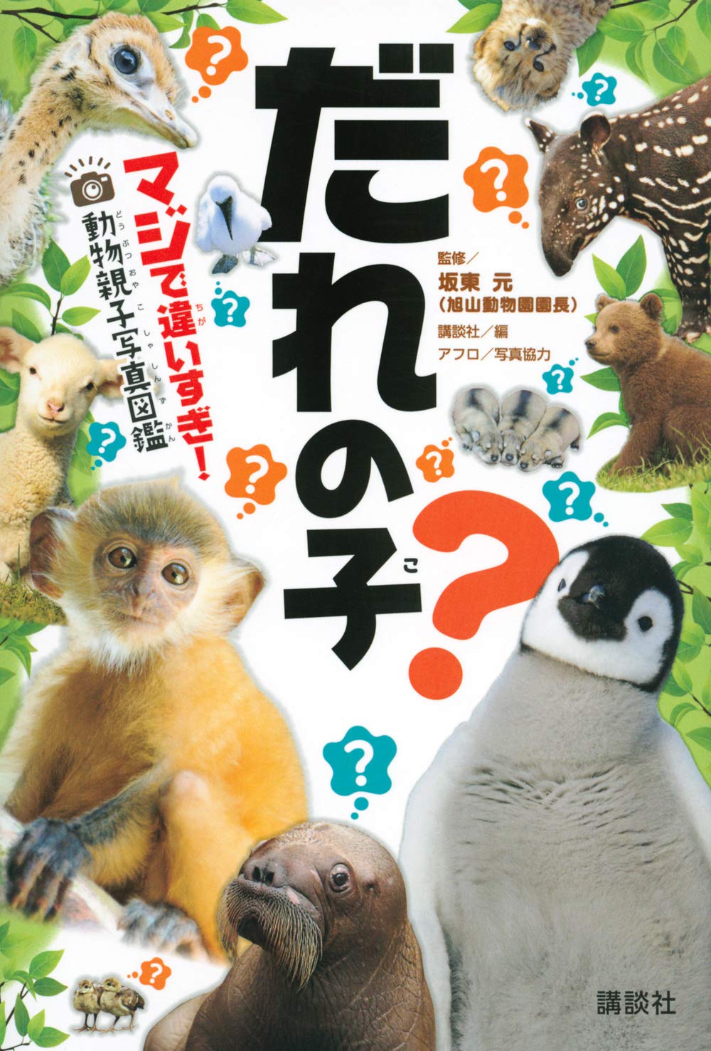 だれの子 マジで違いすぎ 動物親子写真図鑑 講談社 坂東 元 本 通販 Amazon