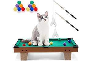 4-in-1 Interactive Cat Pool Table Set