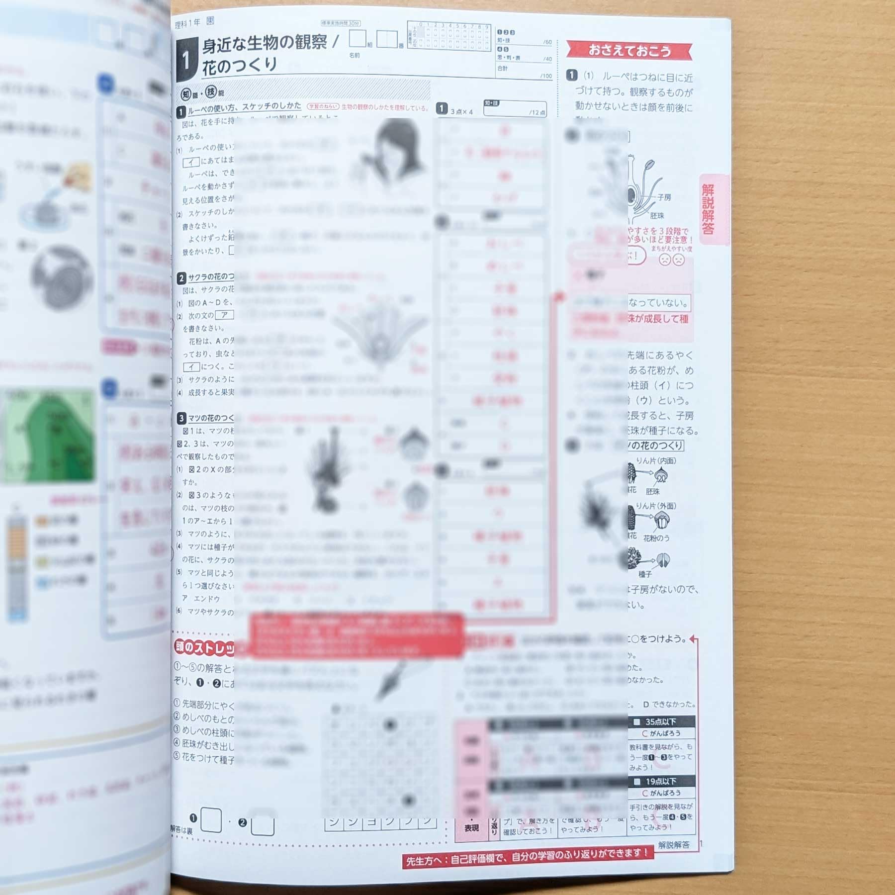 Amazon.co.jp: 2026年度版「Wプリント 理科 1年 東京書籍版【教師用