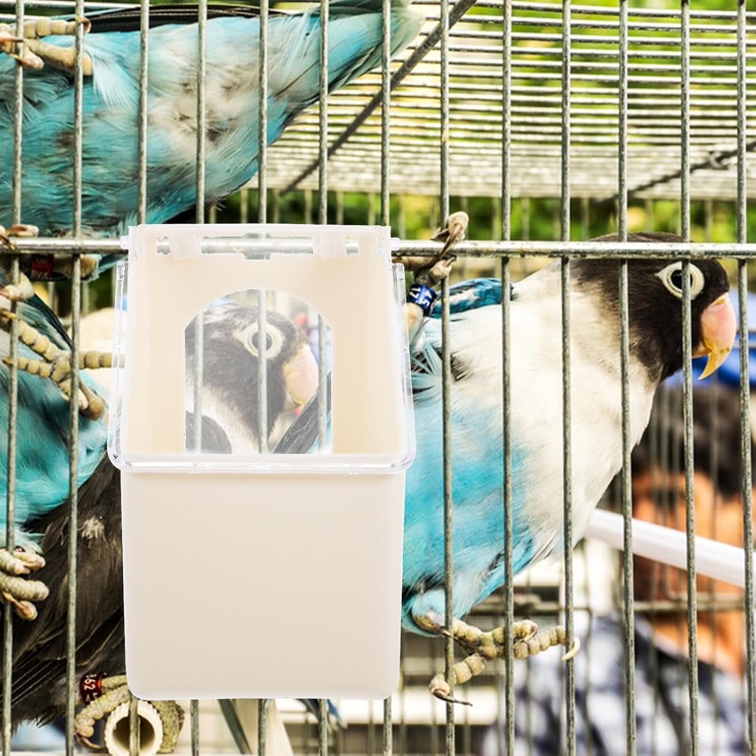 Mikikit 4pcs Hanging Pigeon Feeder with Lid Single Hole Feed Tray Large Capacity Food Container Hanging Feed Dish for Pigeon Cage Aviary Bird Station