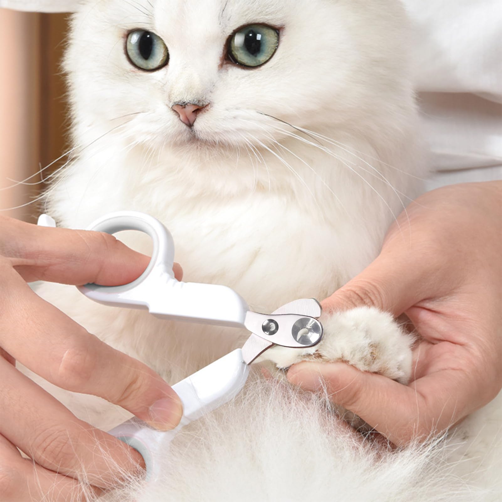 Katzen Nagelschere, Krallenschere Katzen, Katzenkrallen Schneider für Anfänger Toll Geeignet, Sicherheits Edelstahl Katzennagelschneider, Katzenkrallen Schneider, Katzen Krallenschneider