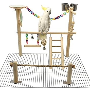 Parrot Cage Play Stand Toy Set, Bird Playground Gym Hanging Chewing Toys, Parrot Ladder Swing Accessories for Conure, Parakeets, Budgie, Cockatiels, Lovebirds, Bird Wood Perch Cage Toys