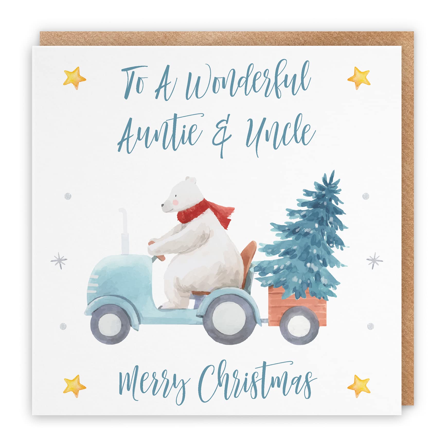 Hunts England - Auntie And Uncle Christmas Card - To A Wonderful Auntie & Uncle - Merry Christmas - Polar Bear Collection