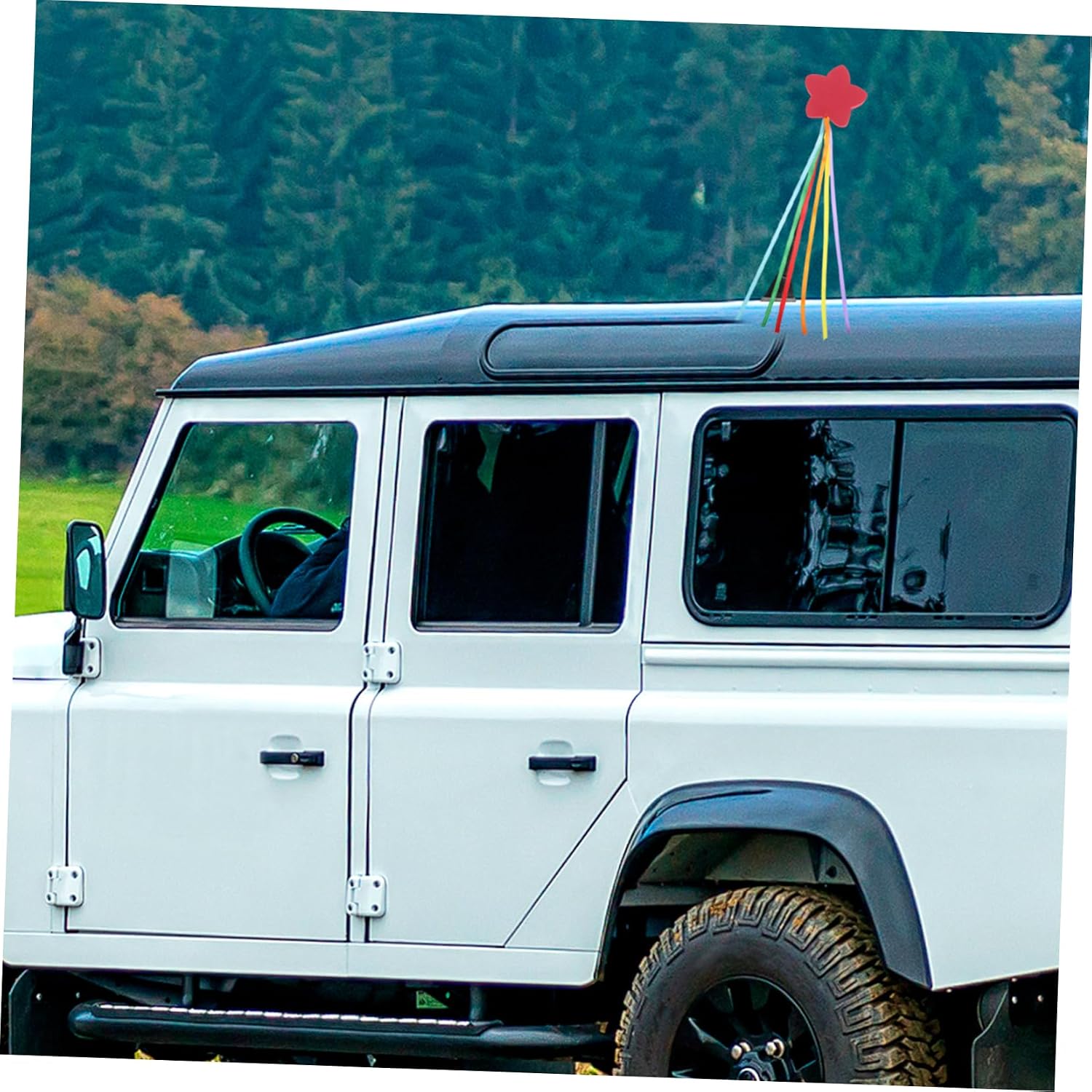 Ciieeo 2Pcs Car Antenna Toppers Weather Resistant Decorative Ornaments for Vehicle Roof Enhance Signal Reception Easy Attachment for Daily Use and Outdoor Travel