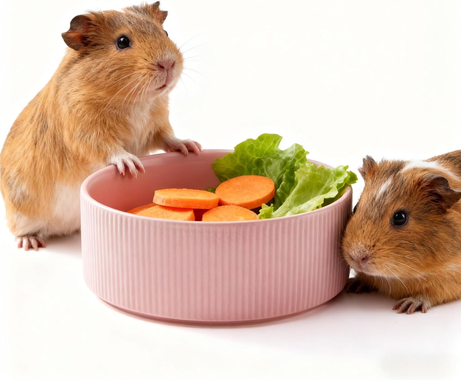 Guinea Pig Vegetable Bowl, 6 in Pink Ceramic Shallow Dish | Weighted Base, Approx. 20 fl oz Capacity, For Guinea Pigs, Chinchillas, Rabbits And Ferrets, Food Or Water