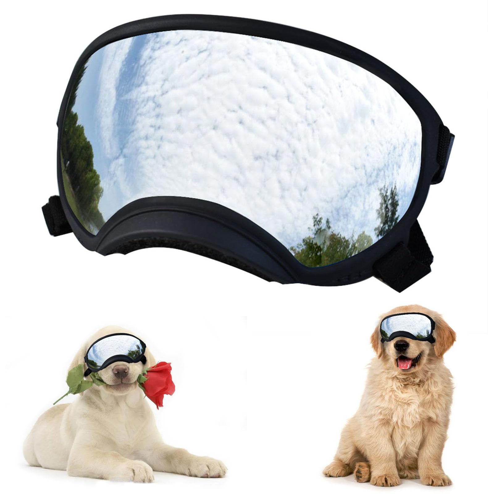 Lunettes de soleil souples pour chien protection UV et vent monture noire