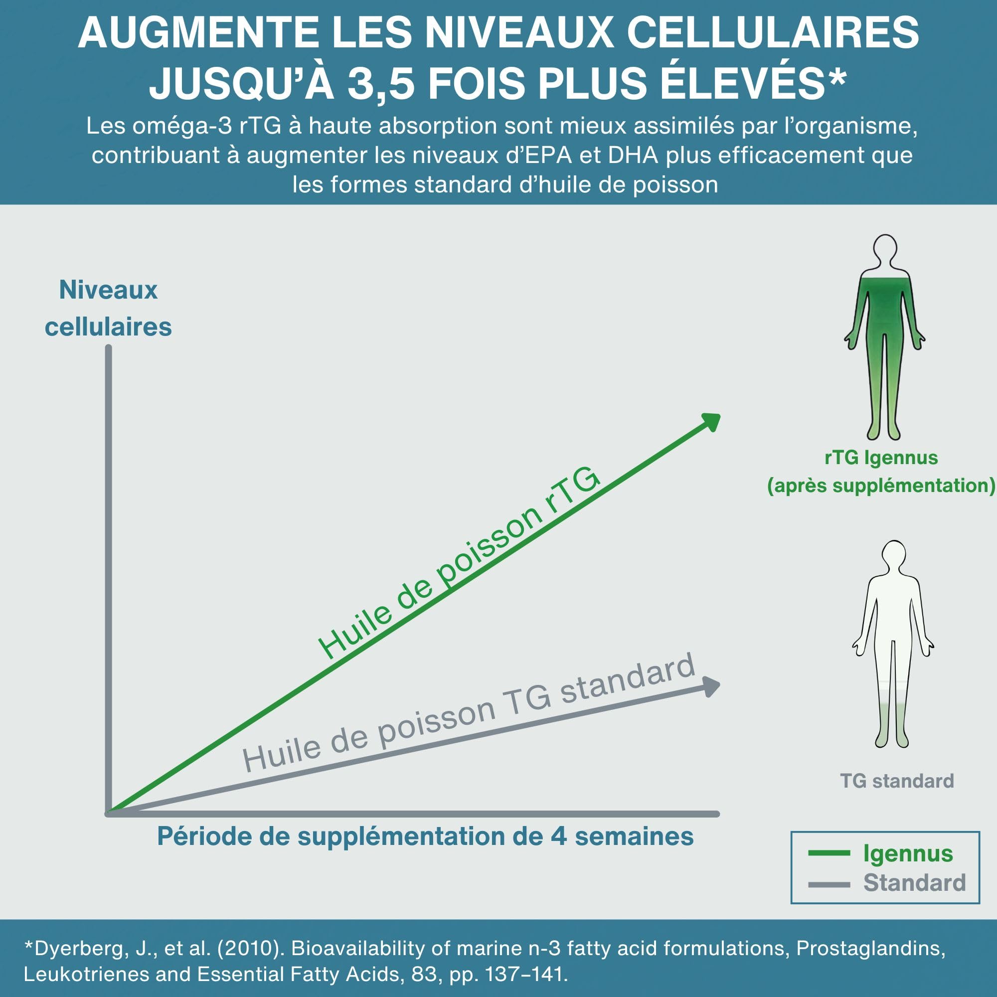 Igennus Omega-3 Huile de poisson sauvage et astaxanthine, certifié IFOS | Triglycérides rTG de qualité supérieure, acides gras oméga-3 EPA et DHA 1000mg, 180 capsules