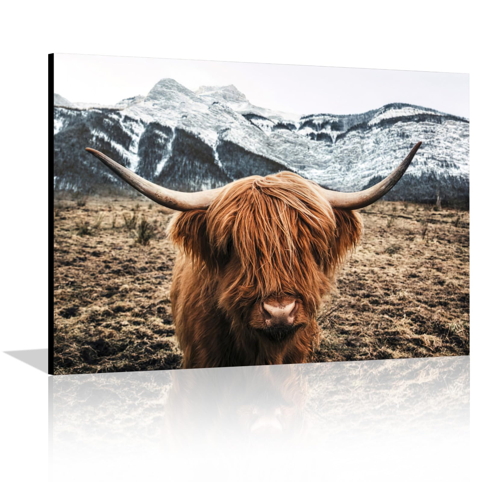 LXTOPN Highland Cow Picture with Frame - Funny Highland Cattle Poster, Scottish cattle Pictures for Living Room Bedroom - Home Decoration Wall Art. (Farm House, Brown White, 30 x 40 cm)