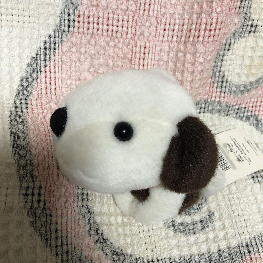 Amazon.co.jp: 2008 Little Charo チャロ ぬいぐるみ 中古品 : おもちゃ