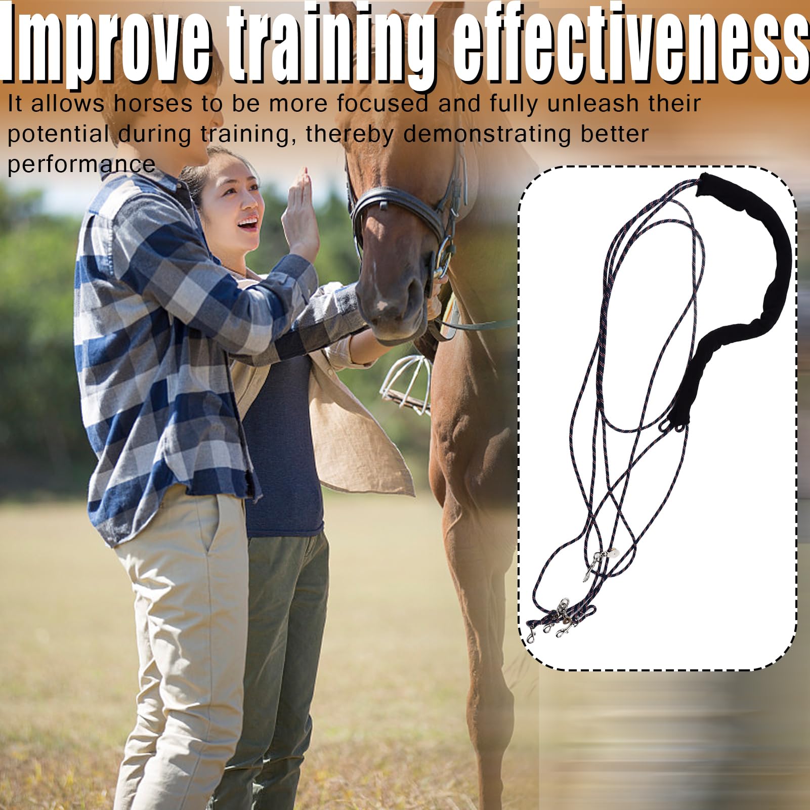 Einstellbare Pferdetrainings- und Longierhilfe. Longierhilfe für Pferde. Longierausrüstung für das Pferdetraining