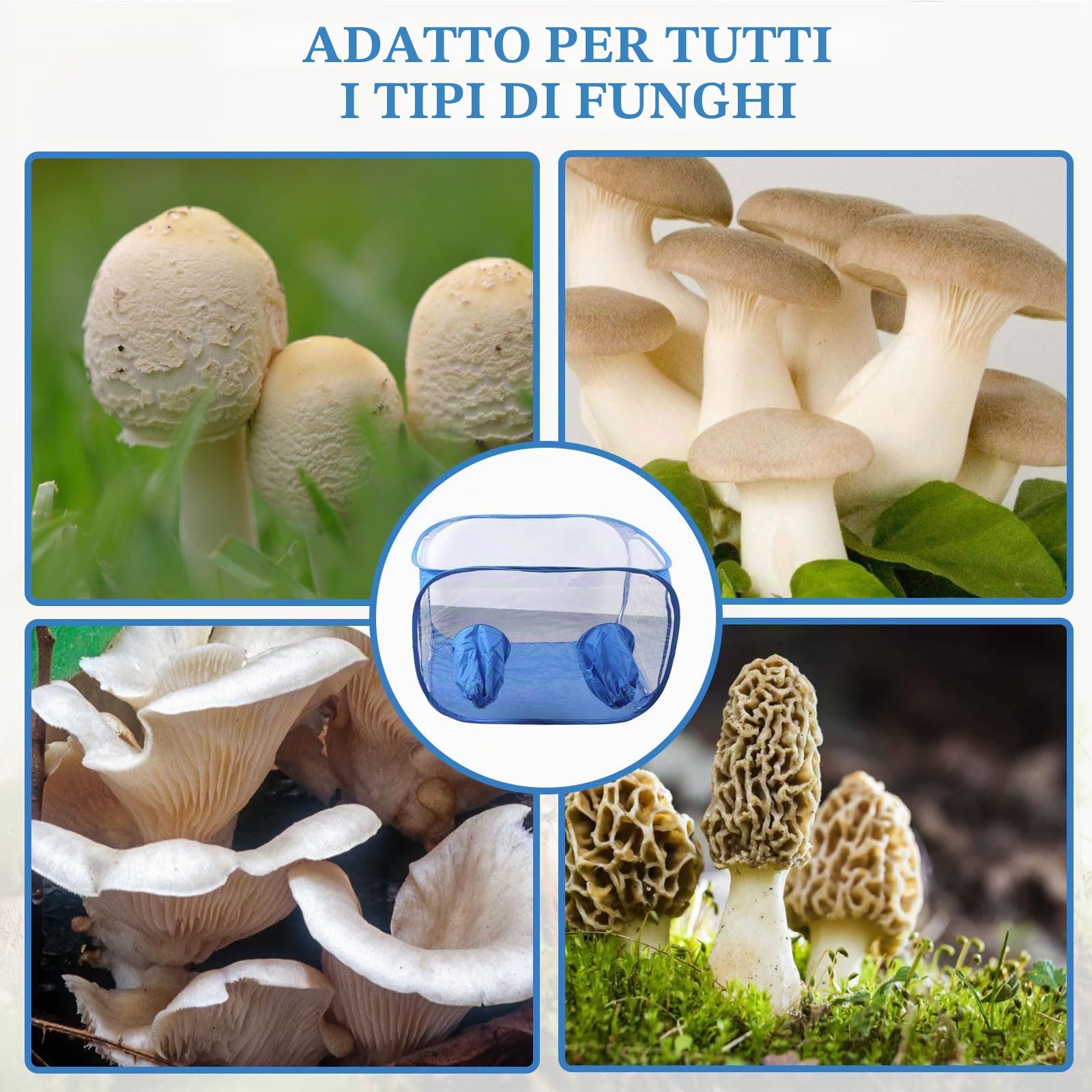 Still Air Box, Set di Contenitori per Funghi in PVC Pop-Up, Allevamento di Funghi, Set Compatto per Interni, Casa, Giardino, Serra, Mini Casetta per Piante Grasse