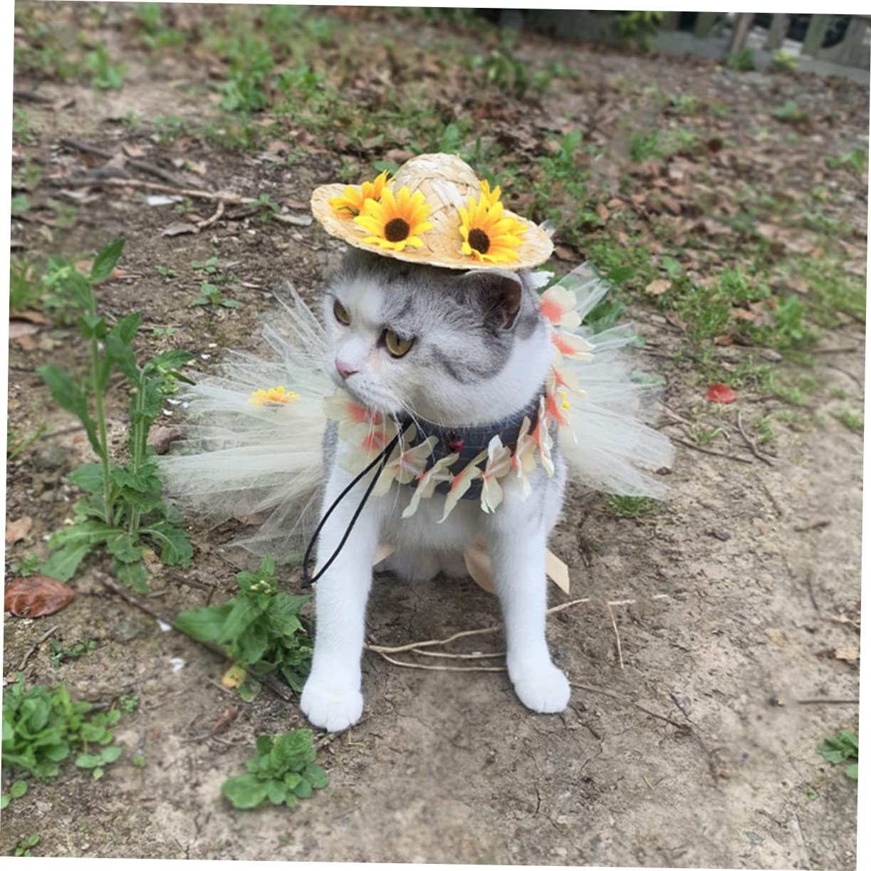 FRCOLOR 5juegos Disfraz De Verano para Mascotas Conjunto De Sombrero De Falda De Malla y Floral para Perros y Gatos Ropa De Fiesta para Eventos Especiales