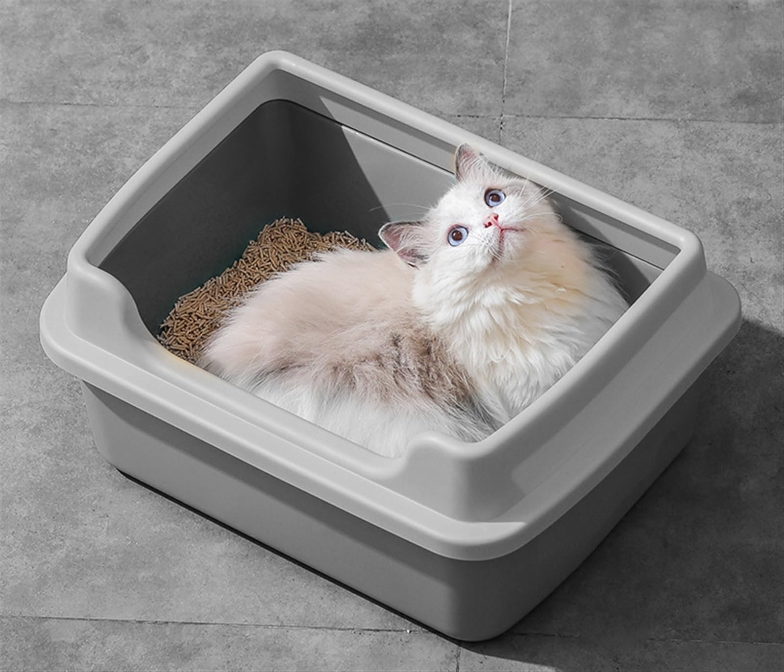 Toilette per Gatti, Lettiera per Gatti con Lettiera per Animali Domestici con Bordi Alti Rimovibili con Telaio per Piccoli Animali di Coniglio Gatto Toilette(Pink)