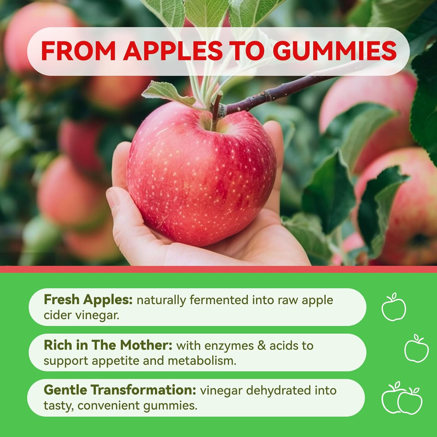 Apple Cider Vinegar Gummies, Acv Gummies, Detox Cleanse For ...