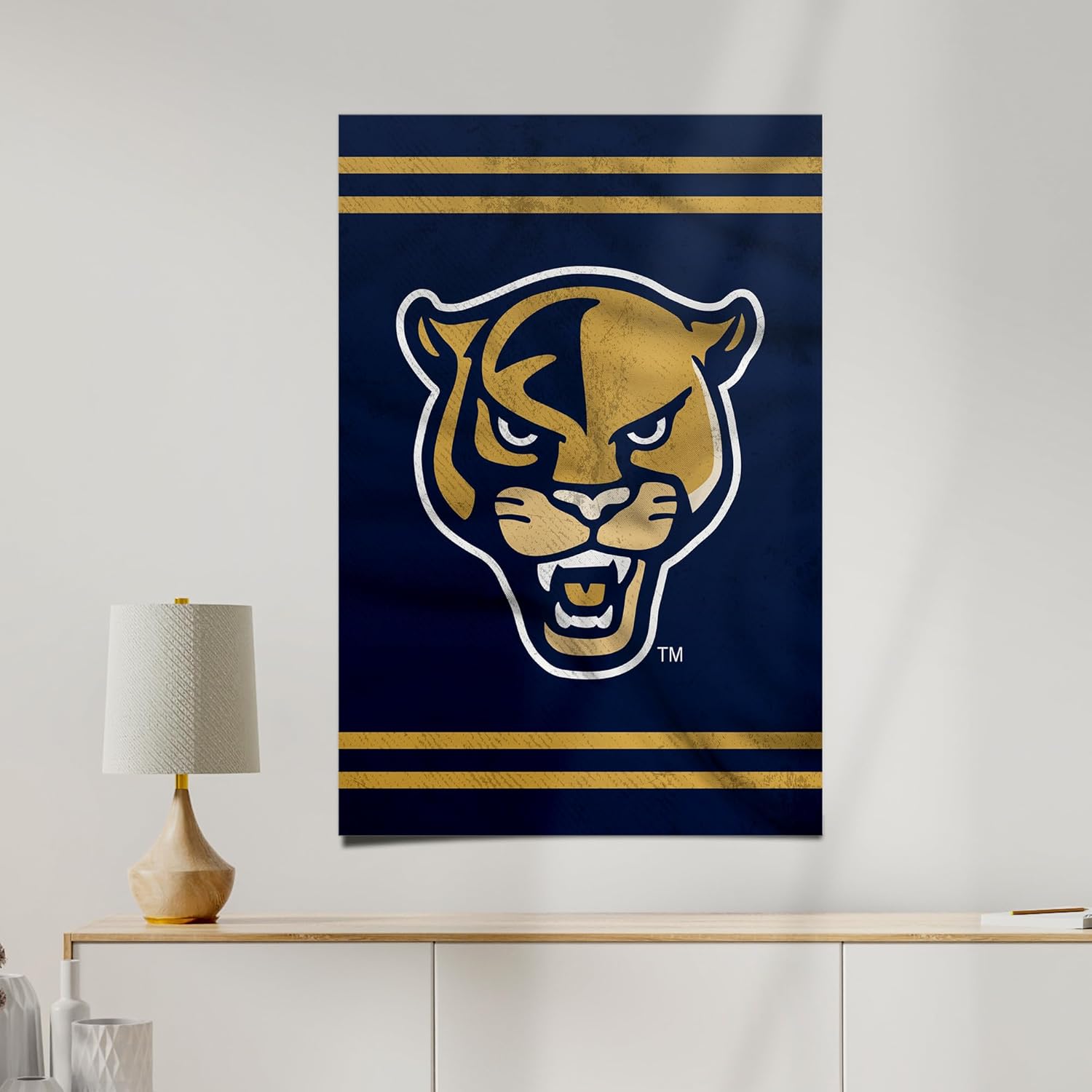 Desert Cactus Florida International University Poster Panthers FIU 24 x 36 Inch Room Office Décor Decoration Official Fan Gear (24x36 inch, Version 3)
