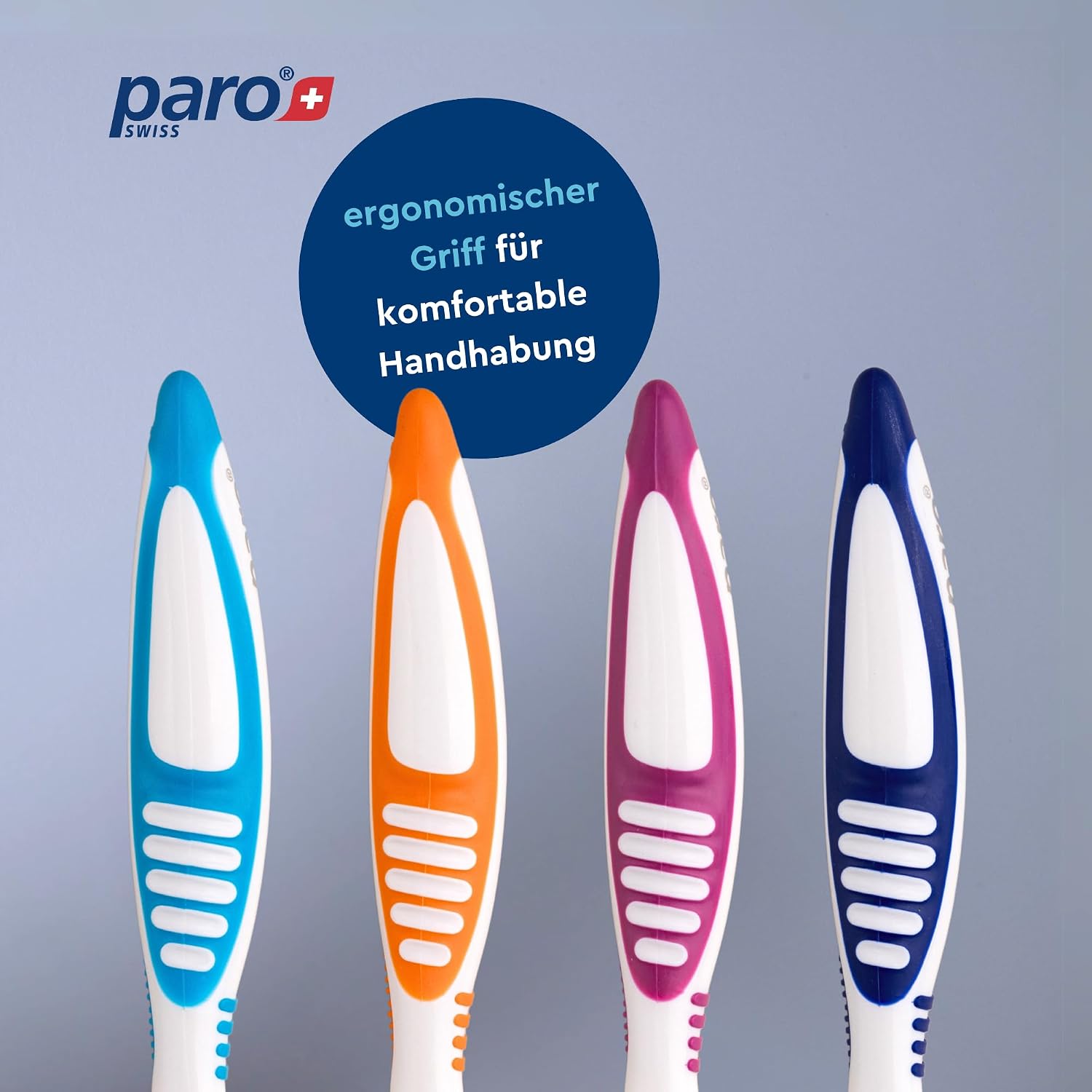 Paro Denture Brush