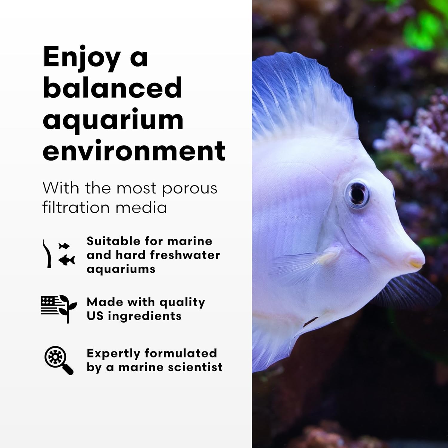 Brightwell Aquatics - Xport-BIO Block Aquarium Filter - Biological Filtration Media for Bacteria Growth, Nutrient Control & Control of Unwanted Nutrients - Aquarium Water Treatments, 8 Pack, 1.5 inch