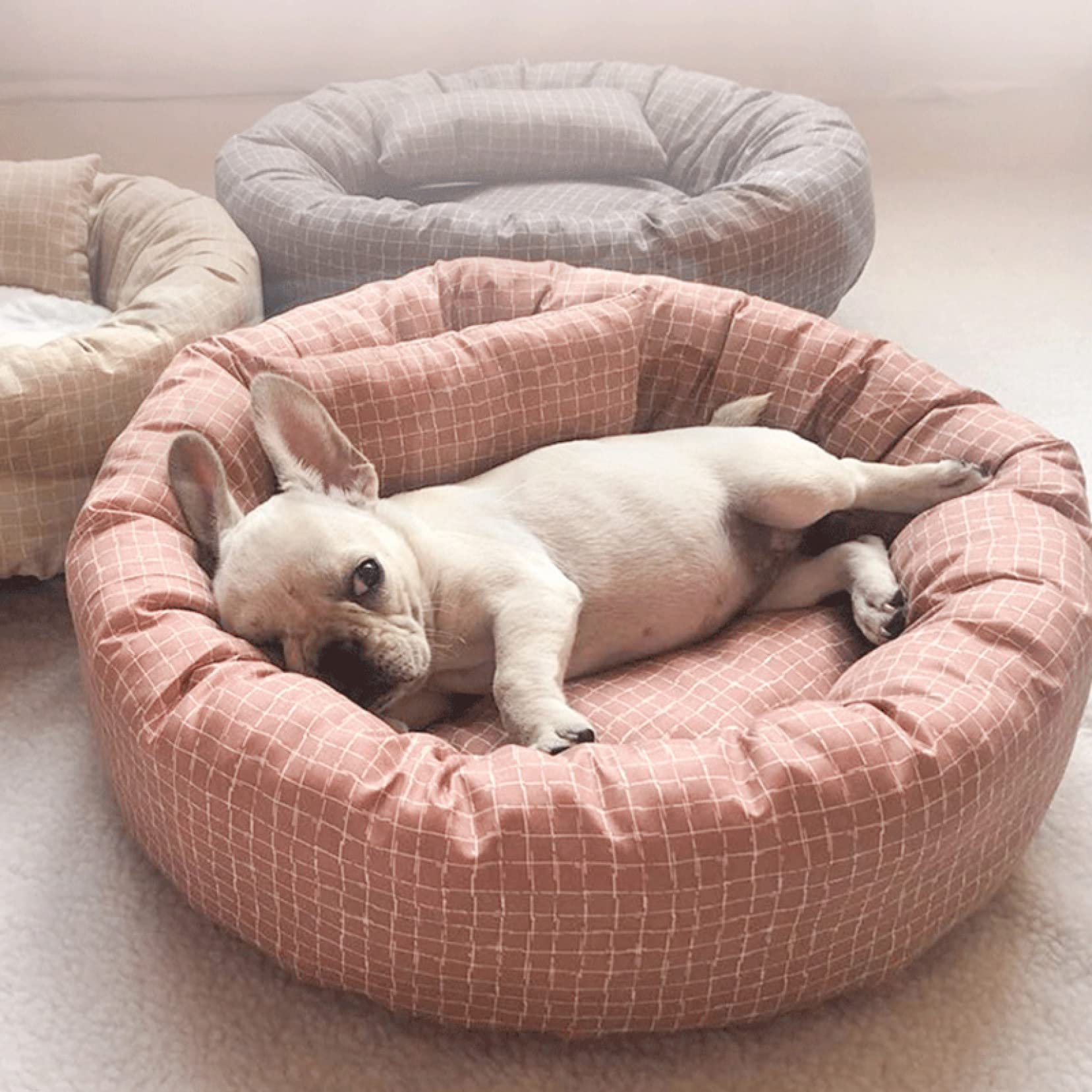 Amazon | 70*70*17 中型犬用ペットベッド 夏用 円形 洗える 汚れ防止